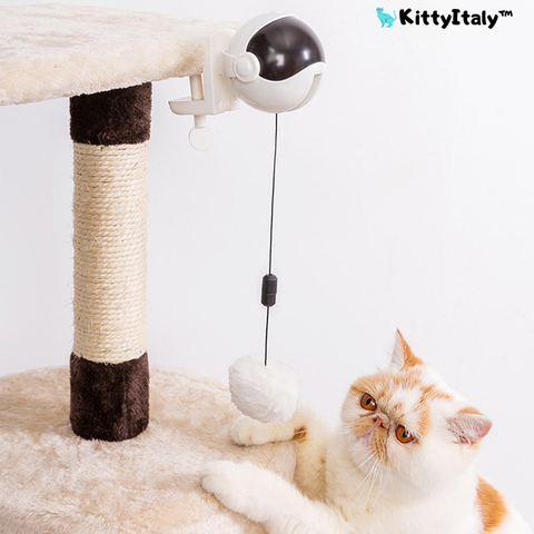 KittyPlay™ - Pallina Interattiva YoYo - kittyitaly™